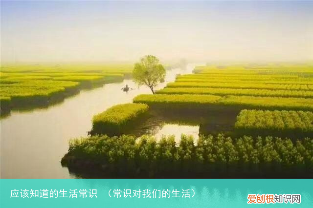 常识对我们的生活 应该知道的生活常识