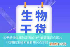 动物的生殖和发育知识点总结 关于动物生殖和发育的16个必背知识点图片