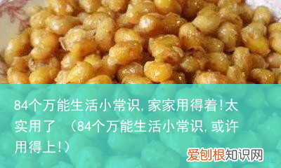 84个万能生活小常识,或许用得上! 84个万能生活小常识,家家用得着!太实用了