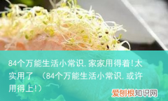 84个万能生活小常识,或许用得上! 84个万能生活小常识,家家用得着!太实用了