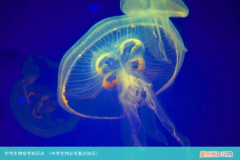 中考生物必考重点知识 中考生物常考知识点