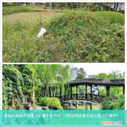 怎么样改善小孩注意力不集中? 怎么改善孩子注意力不集中的方法