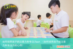 如何培养孩子的注意力和专注力的心得 如何培养孩子的注意力和专注力ppt