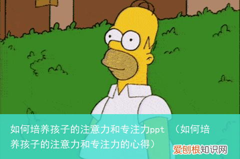 如何培养孩子的注意力和专注力的心得 如何培养孩子的注意力和专注力ppt