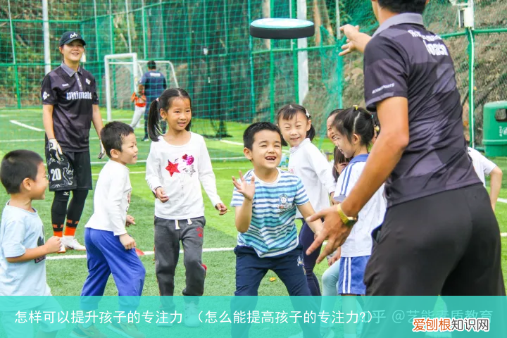 怎么能提高孩子的专注力? 怎样可以提升孩子的专注力