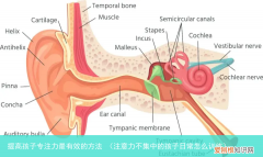 注意力不集中的孩子日常怎么训练 提高孩子专注力最有效的方法