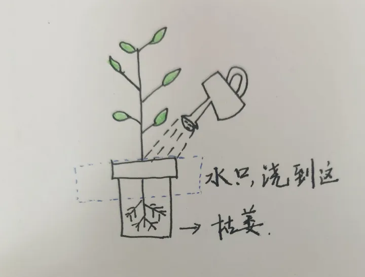 关于养花的小知识 可不可以给我普及一个养花小知识呢