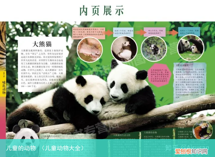 儿童动物大全 儿童的动物