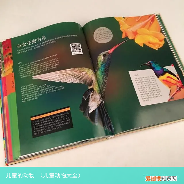 儿童动物大全 儿童的动物