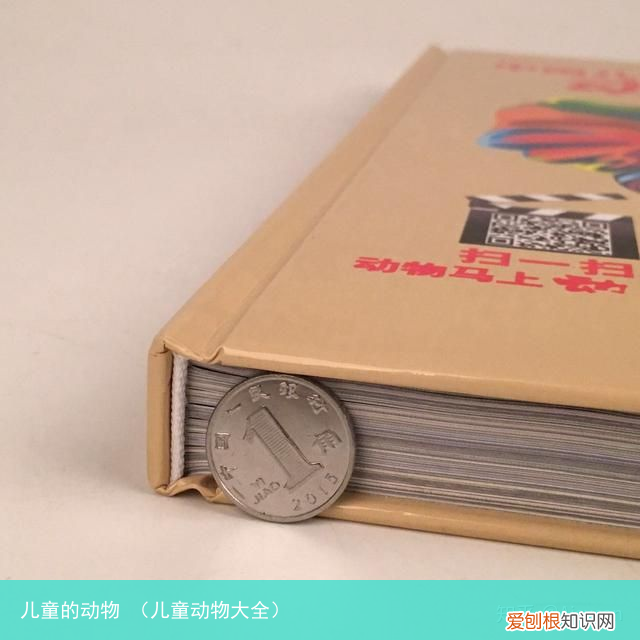 儿童动物大全 儿童的动物