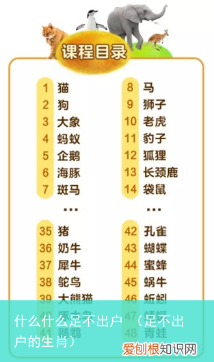 足不出户的生肖 什么什么足不出户