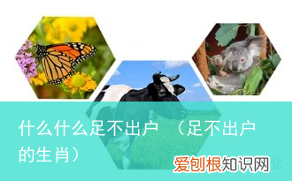 足不出户的生肖 什么什么足不出户