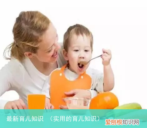 实用的育儿知识 最新育儿知识