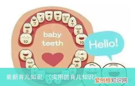 实用的育儿知识 最新育儿知识