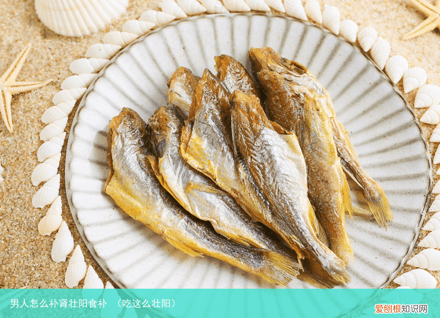 吃这么壮阳 男人怎么补肾壮阳食补