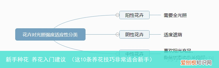 这10条养花技巧非常适合新手 新手种花 养花入门建议