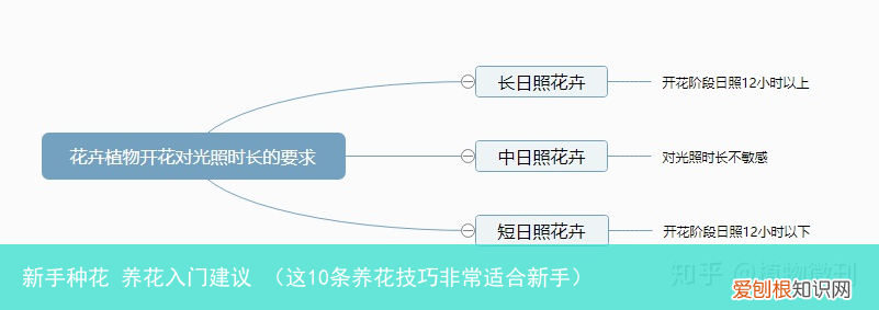 这10条养花技巧非常适合新手 新手种花 养花入门建议