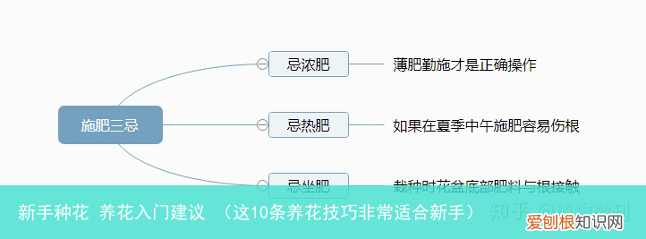 这10条养花技巧非常适合新手 新手种花 养花入门建议