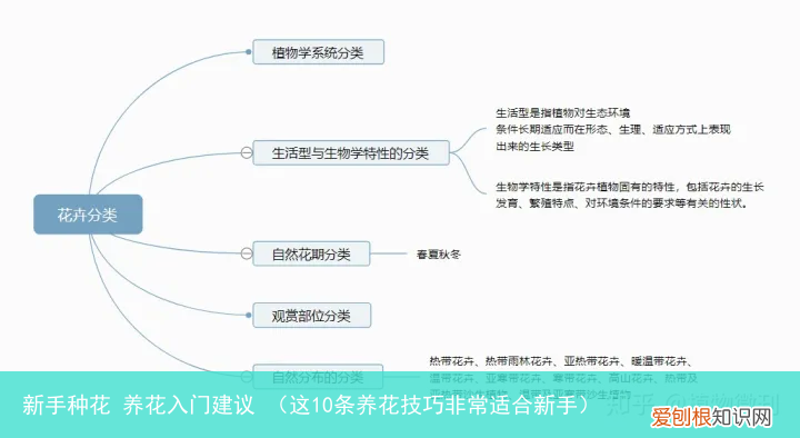 这10条养花技巧非常适合新手 新手种花 养花入门建议