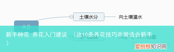 这10条养花技巧非常适合新手 新手种花 养花入门建议