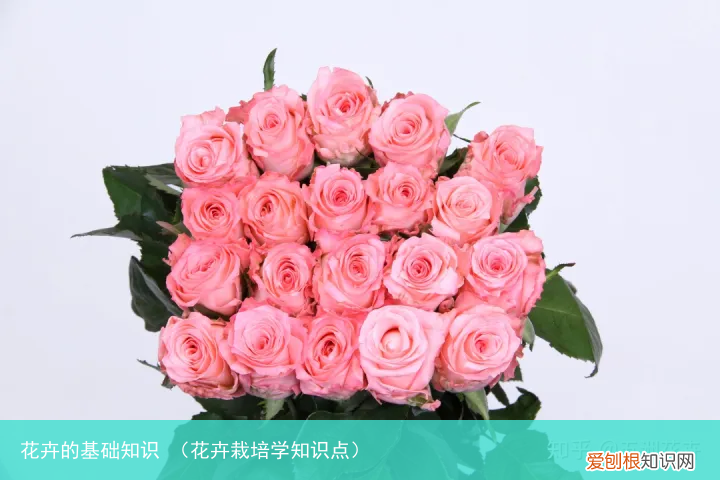 花卉栽培学知识点 花卉的基础知识