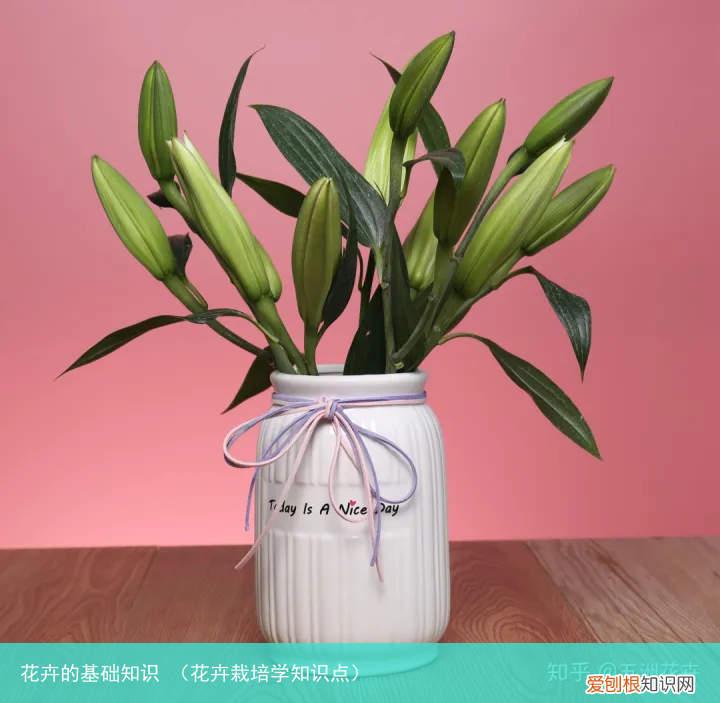 花卉栽培学知识点 花卉的基础知识