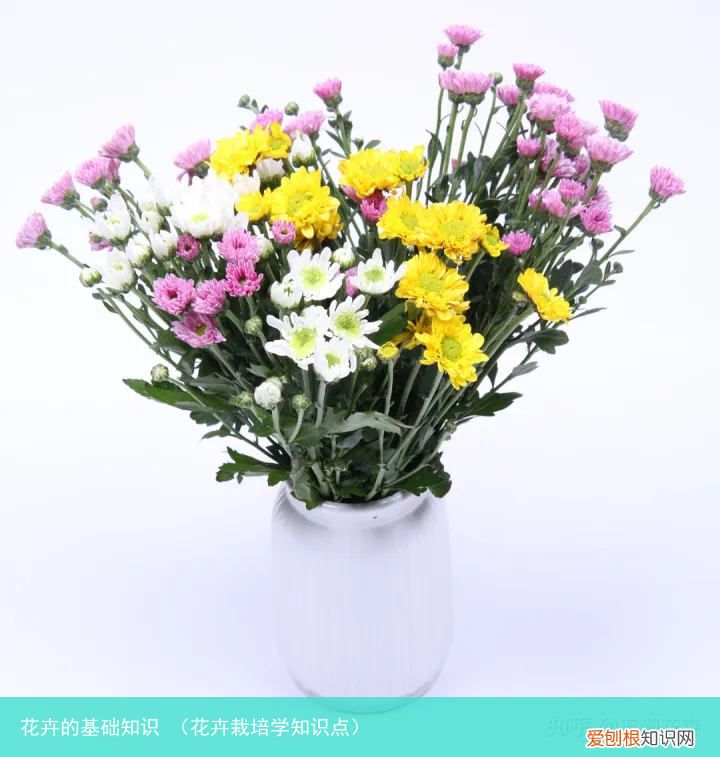 花卉栽培学知识点 花卉的基础知识