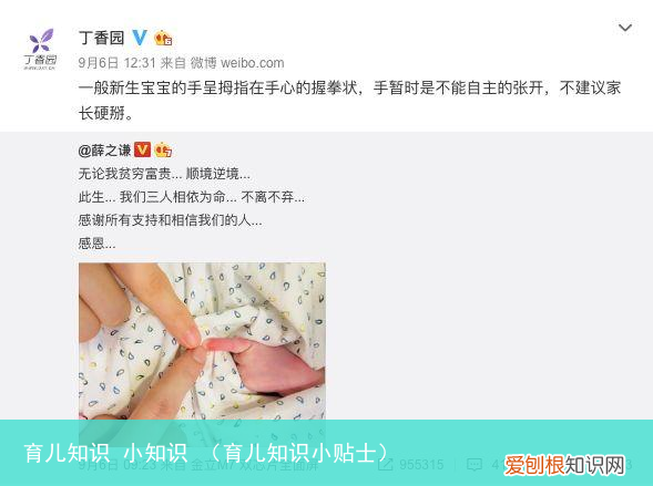 育儿知识小贴士 育儿知识 小知识