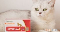 猫不爱吃鱼爱吃鸡肉,猫不爱吃鱼爱吃肉,猫不爱吃鱼怎么办，我家猫不爱吃鱼