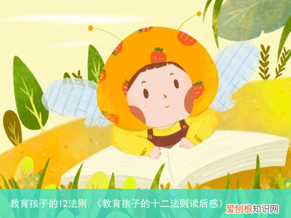 教育孩子的十二法则读后感 教育孩子的12法则
