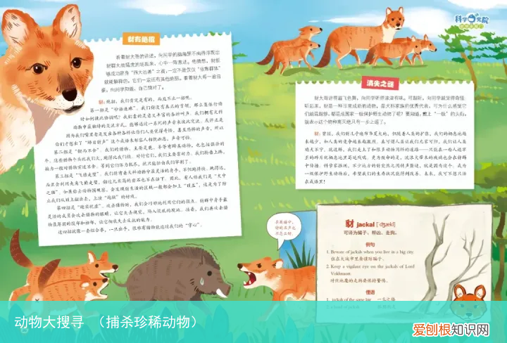 捕杀珍稀动物 动物大搜寻