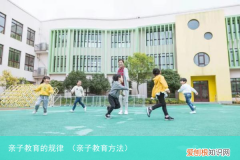 亲子教育方法 亲子教育的规律