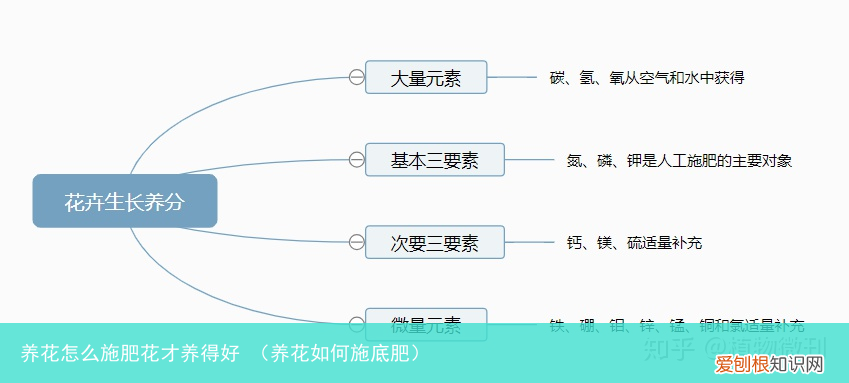 养花如何施底肥 养花怎么施肥花才养得好
