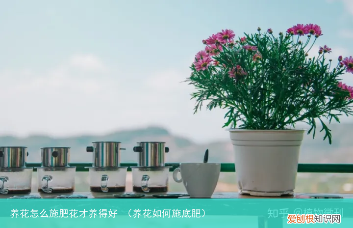 养花如何施底肥 养花怎么施肥花才养得好