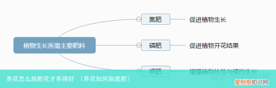 养花如何施底肥 养花怎么施肥花才养得好