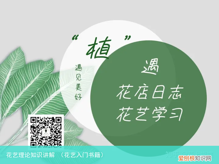 花艺入门书籍 花艺理论知识讲解
