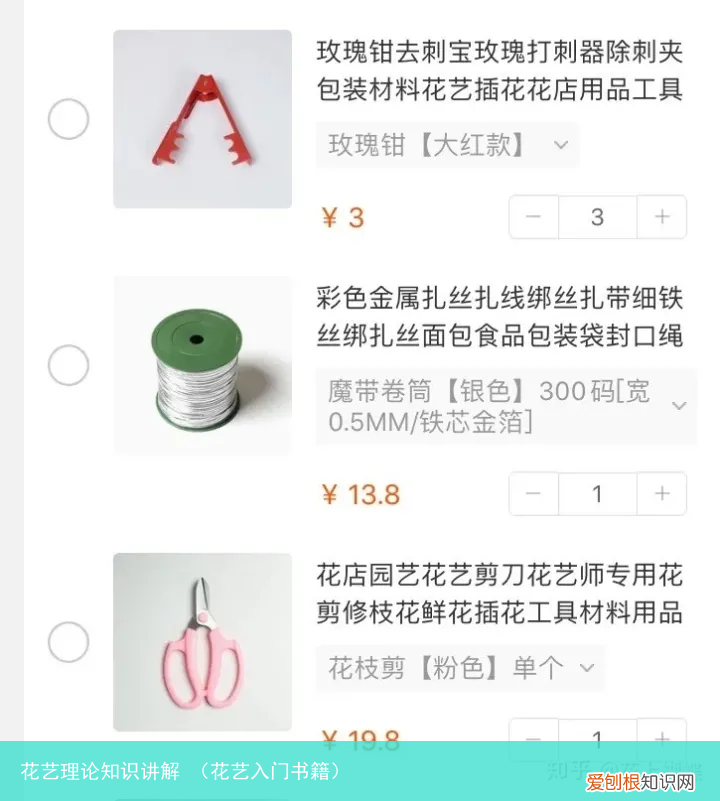 花艺入门书籍 花艺理论知识讲解