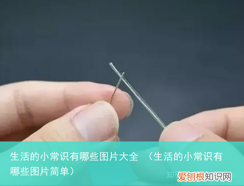 生活的小常识有哪些图片简单 生活的小常识有哪些图片大全