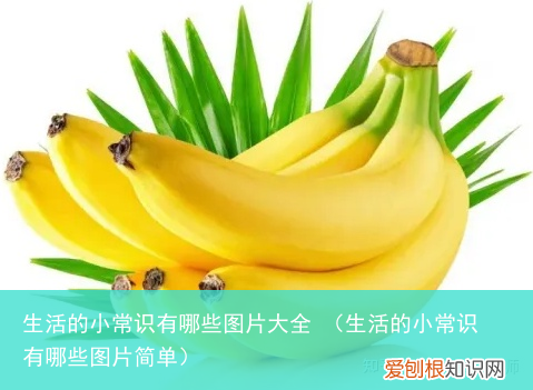 生活的小常识有哪些图片简单 生活的小常识有哪些图片大全