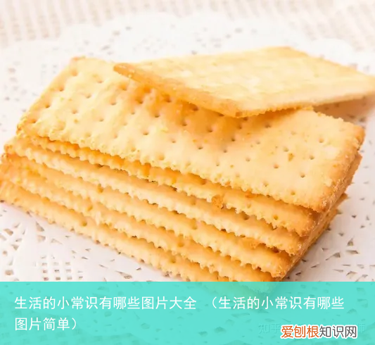 生活的小常识有哪些图片简单 生活的小常识有哪些图片大全
