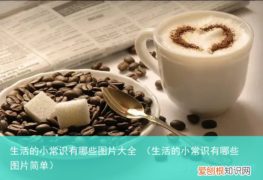 生活的小常识有哪些图片简单 生活的小常识有哪些图片大全
