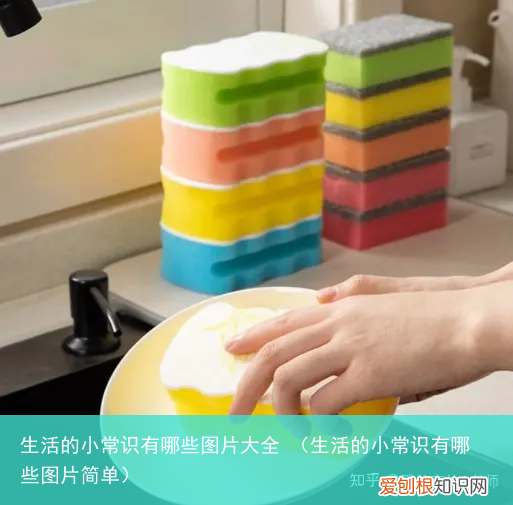 生活的小常识有哪些图片简单 生活的小常识有哪些图片大全