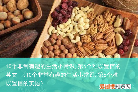 10个非常有趣的生活小常识,第6个难以置信的英语 10个非常有趣的生活小常识,第6个难以置信的英文