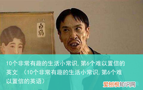 10个非常有趣的生活小常识,第6个难以置信的英语 10个非常有趣的生活小常识,第6个难以置信的英文