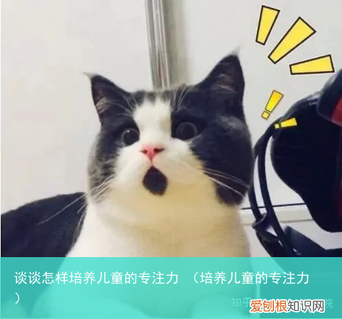 培养儿童的专注力 谈谈怎样培养儿童的专注力