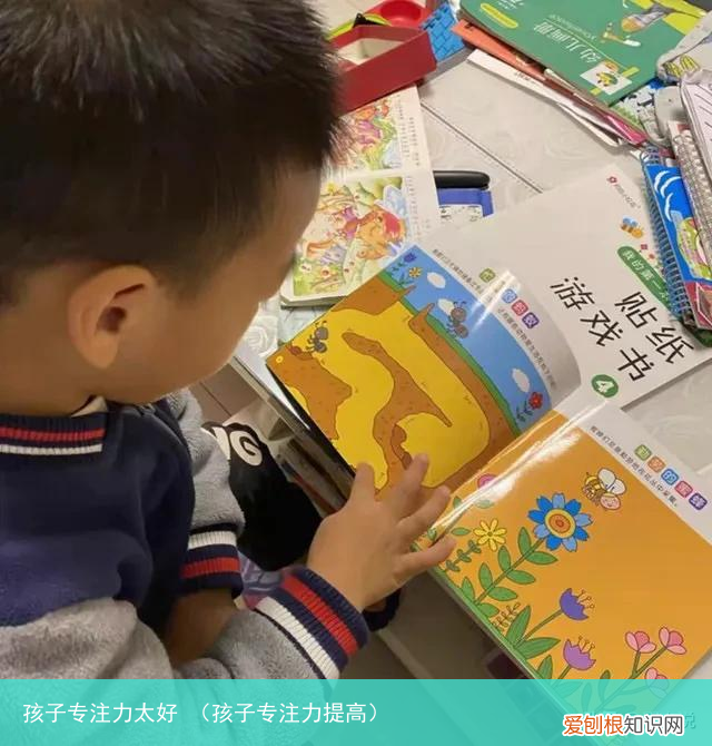 孩子专注力提高 孩子专注力太好