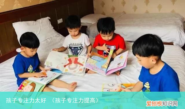 孩子专注力提高 孩子专注力太好