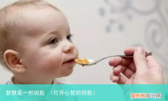 打开心智的钥匙 智慧是一把钥匙