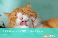 当老外说whatsup 当老外说sorry怎么回答