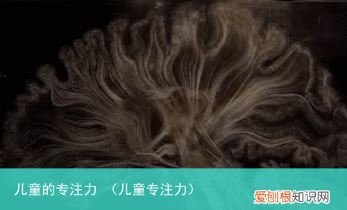 儿童专注力 儿童的专注力